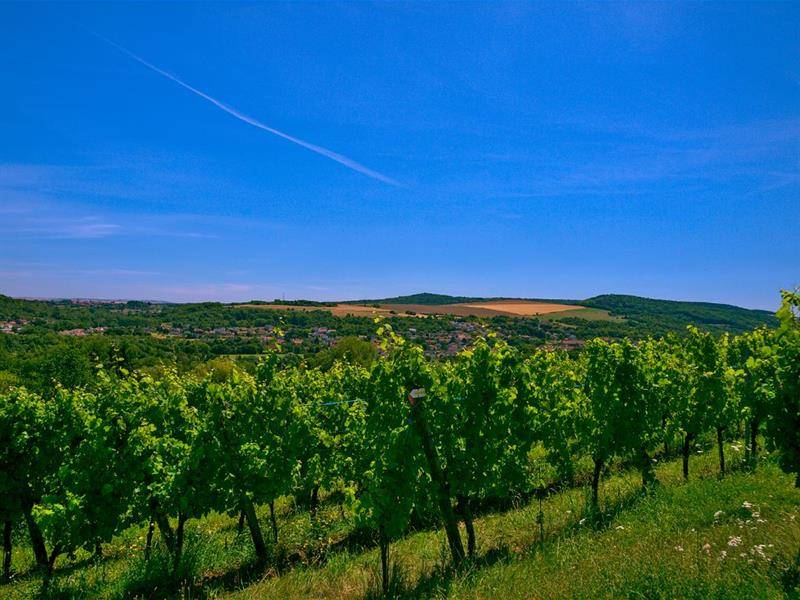 Randonnée : La vallée de la Moselle