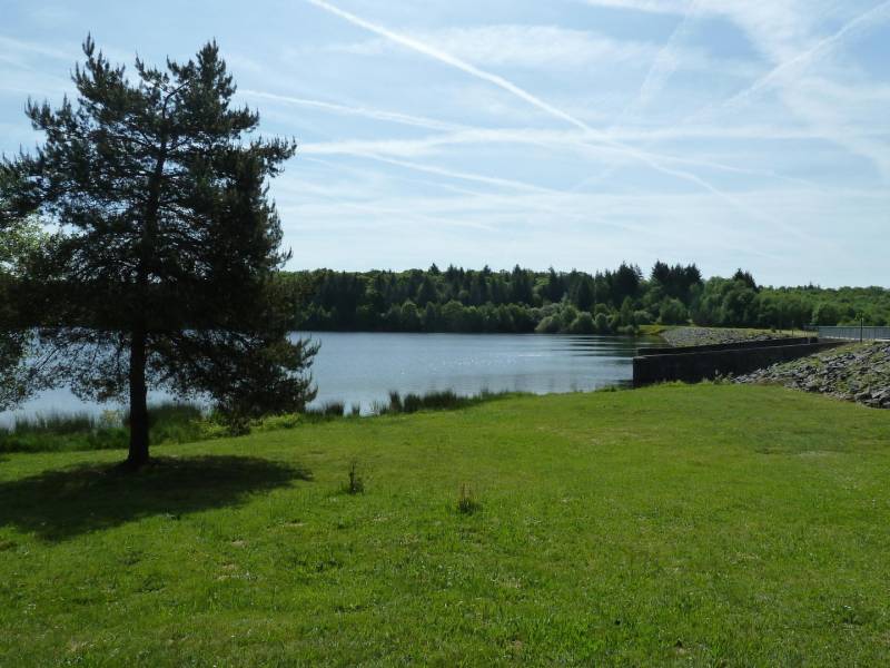 Randonnée : Boucle de l'Etang de Miallet