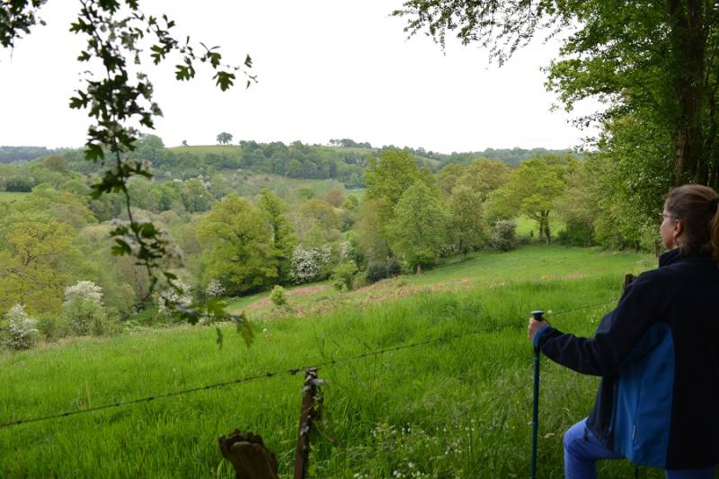 Randonnée : Le chemin des Loups Pendus