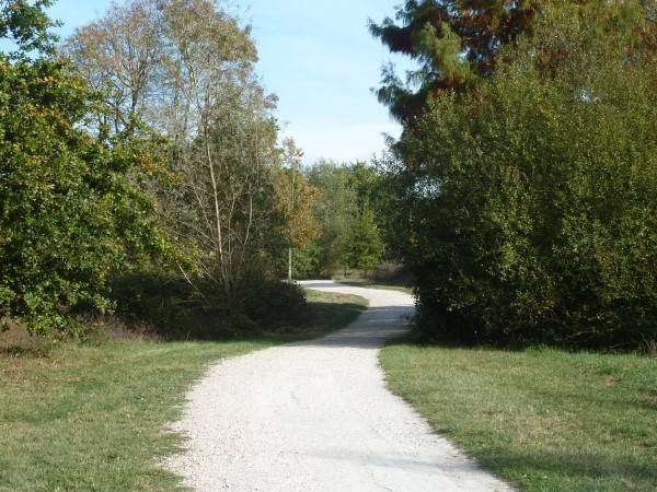 Randonnée : Balade à roulettes : Le Bois de Bordeaux 2 IMPRATICABLE