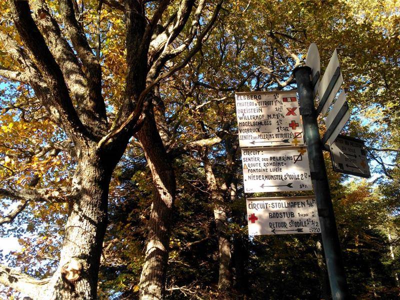 Randonnée : Sentier des Pèlerins