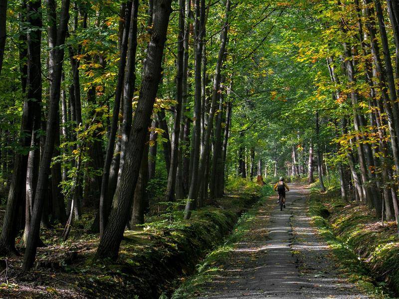 Randonnée : Circuit VTT n°83 la Nivallée
