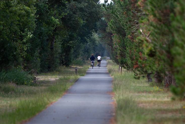 Randonnée : Tour de Gironde à vélo : étape 5 - Bazas / Saint-Symphorien