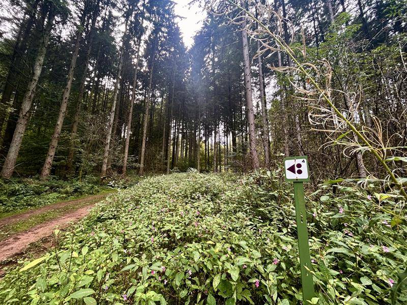Randonnée : Circuit VTT 18 km
