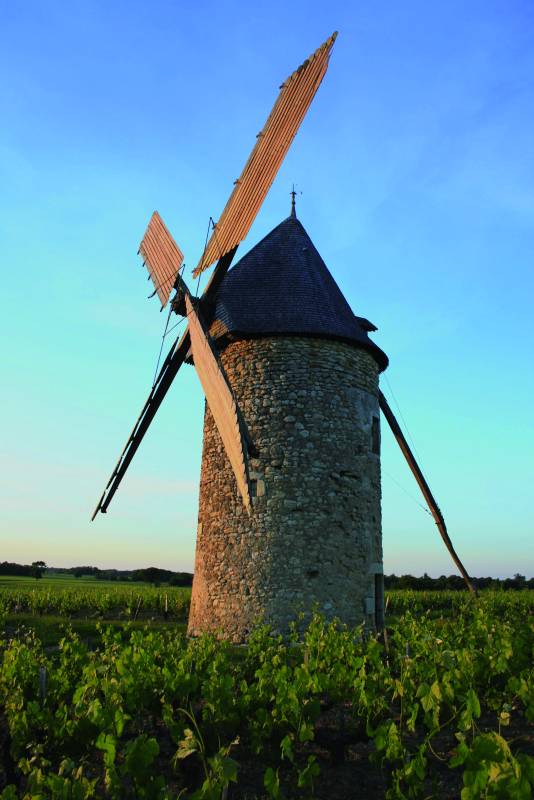 Randonnée : La Blaignanaise