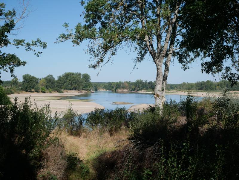 Randonnée : Balade famille : Sentier-nature du Passeur du Bec d'Allier