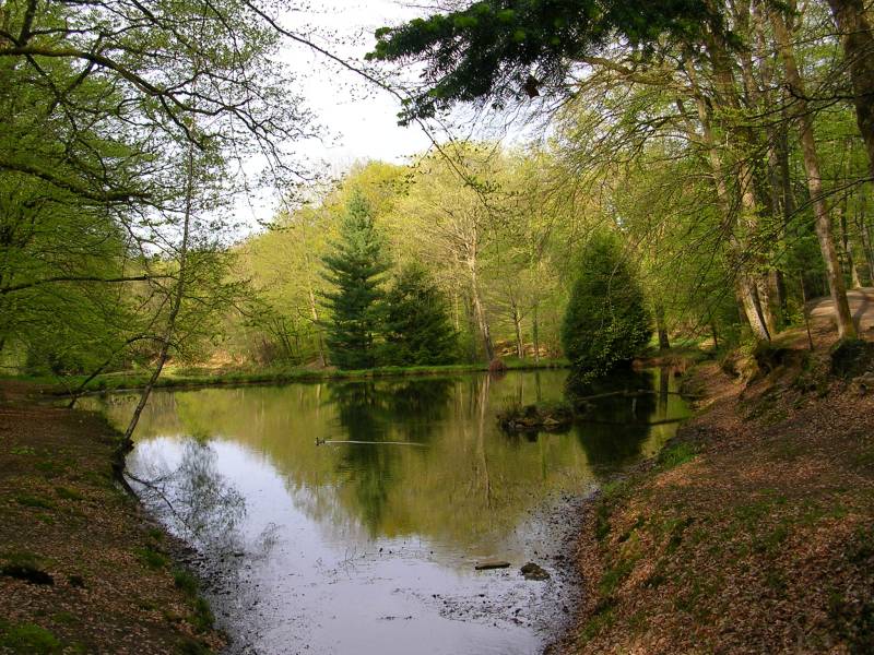 Randonnée : La Boucle VTT de Saint-Priest-sous-Aixe - Circuit n°1 Val de Vienne Tour