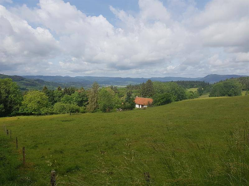 Randonnée : Circuit pédestre - La Tête de la Behouille