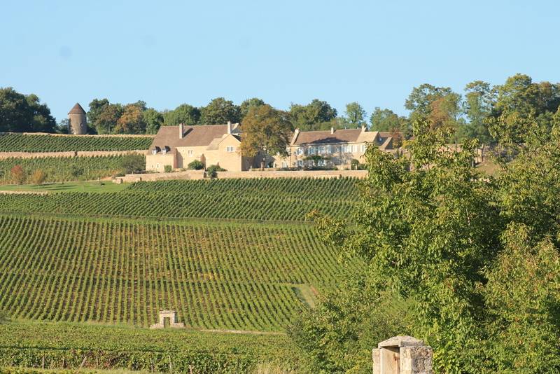 Randonnée : Balade verte à Poncey vignes, clos et cadoles
