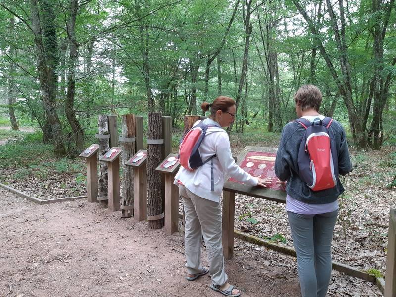 Randonnée : Sentier sensoriel des Carnutes : 600 m