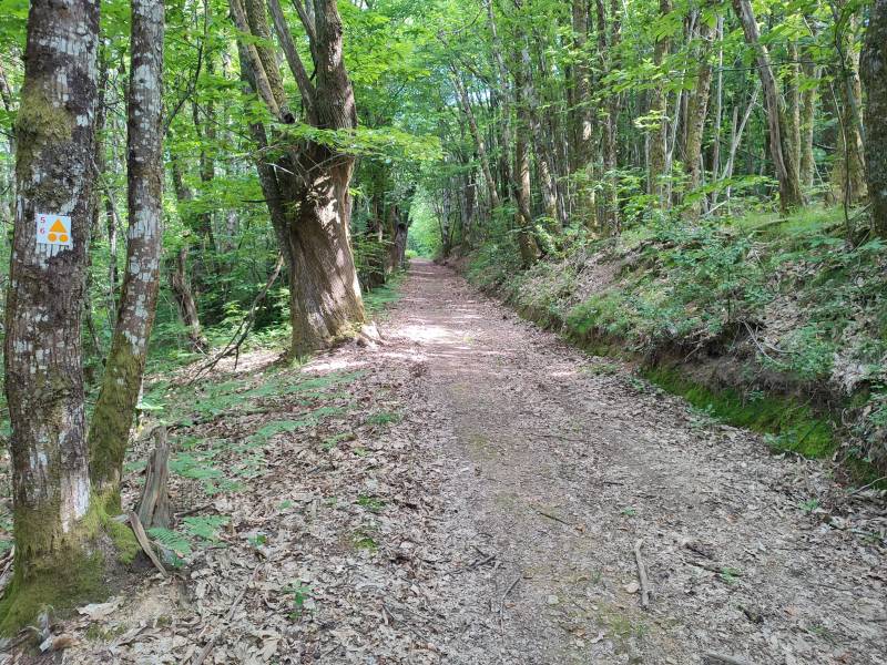 Randonnée : Circuit VTT n°6 Autour des monts d’Auriat