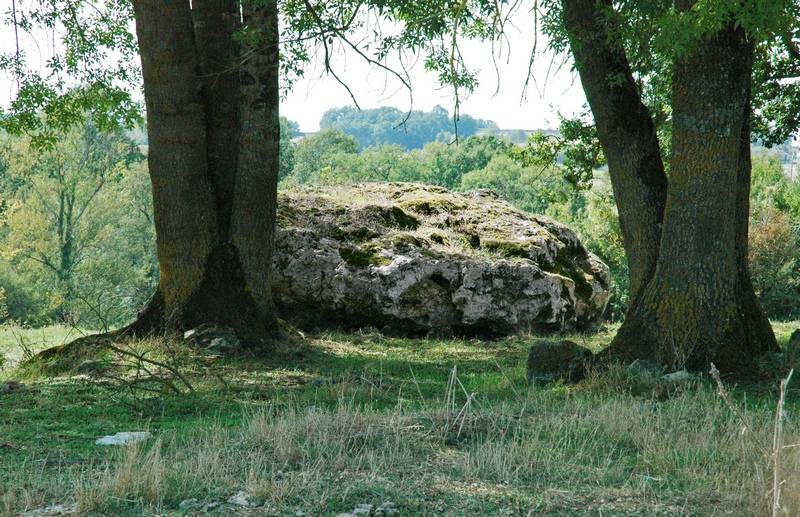 Randonnée : Boucle de Saint Léon d'Issigeac