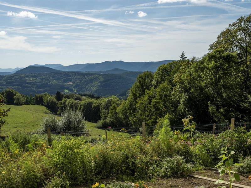 Randonnée : Circuit vélo C15 : Autour du Promont