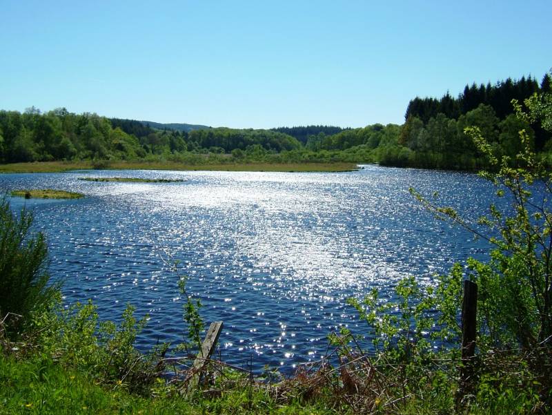 Randonnée : Circuit pédestre N°23 CC:  "Sentier de découverte de la tourbière de l'étang du Bourdeau"