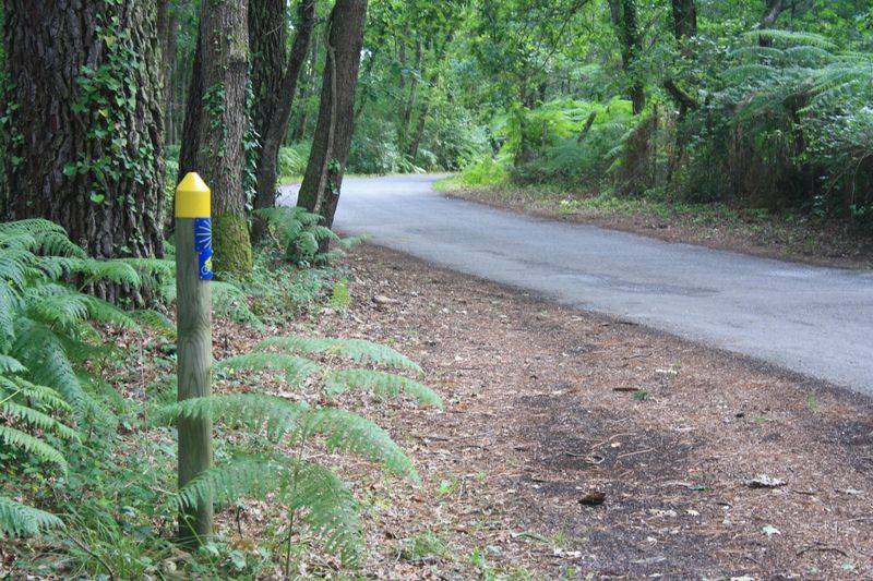 Randonnée : A Lanton, Audenge, Biganos, Le Teich sur les traces de Saint Jacques de Compostelle