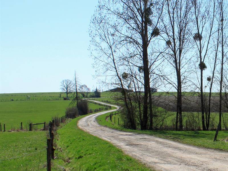 Randonnée : Circuit des verriers et du massif forestier de Moriville