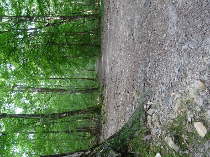 Randonnée : Circuit de la Vallée des Bouteilles