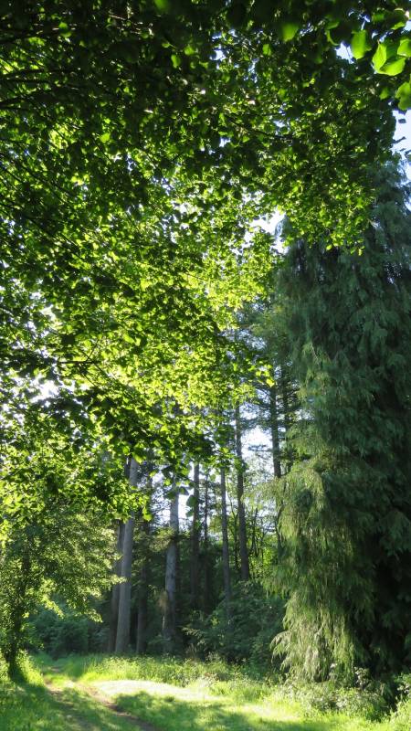 Randonnée : Au fil de la Dejoune - 20 km