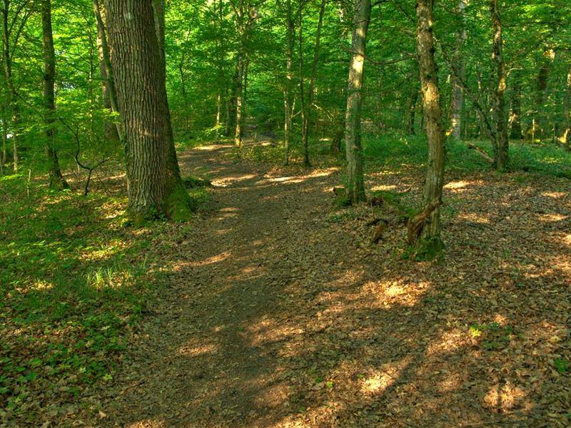 Randonnée : Les quatre seigneurs