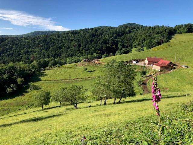 Randonnée : Balade ferme-auberge Kohlschlag : entre châteaux et chapelle