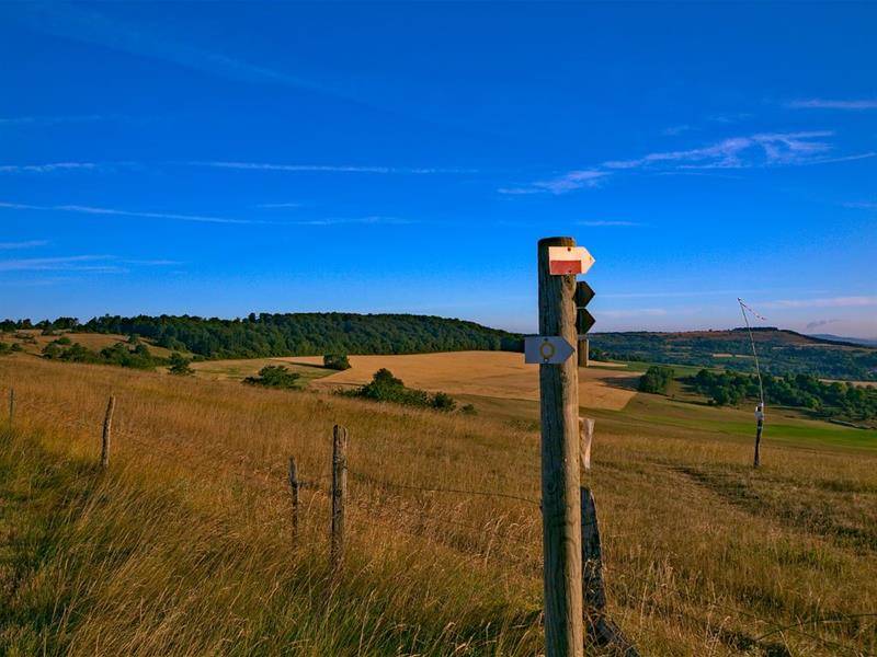 Randonnée : Les côtes de Moselle
