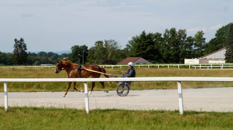 Randonnée : Circuit des Cavaliers