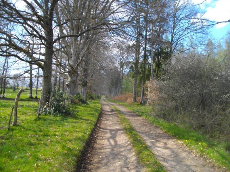 Randonnée : Hautefeuille Track - 12 km