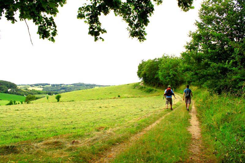 Randonnée : Autour du gras à la Bachellerie