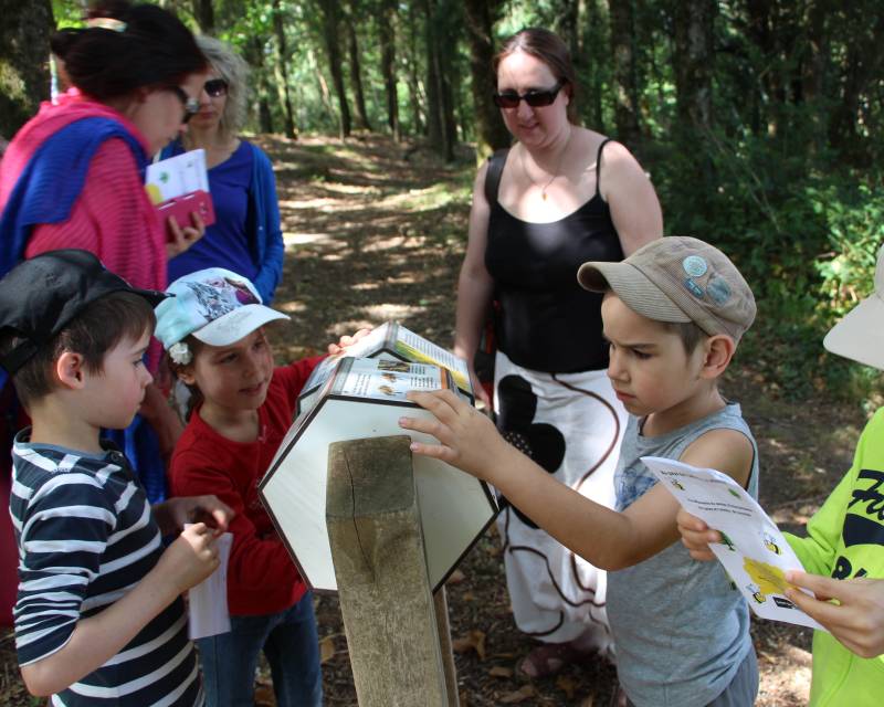 Randonnée : Le sentier de l'arbre et de l'abeille