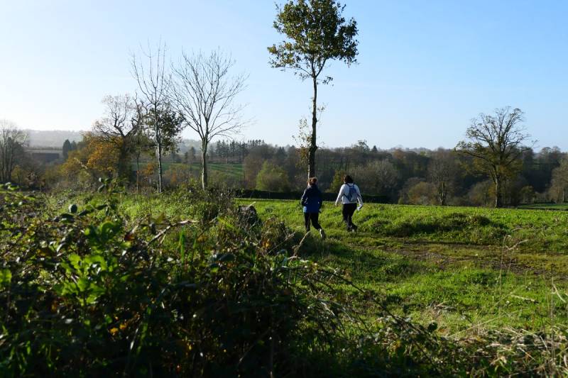 Randonnée : Le Circuit du Chefresne