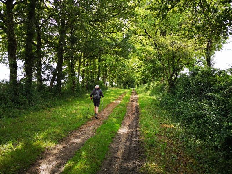 Randonnée : Circuit pédestre n° 110 : L'incontournable bocage