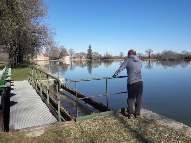 Randonnée : Randonnée à Avril-sur-Loire / Boucle de Forge Neuve