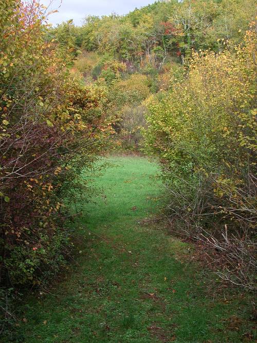Randonnée : Masquières, à travers la forêt du Verdus