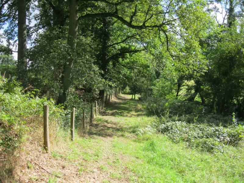 Randonnée : Liaison parc du Mas-Jambost - Bois des Vaseix