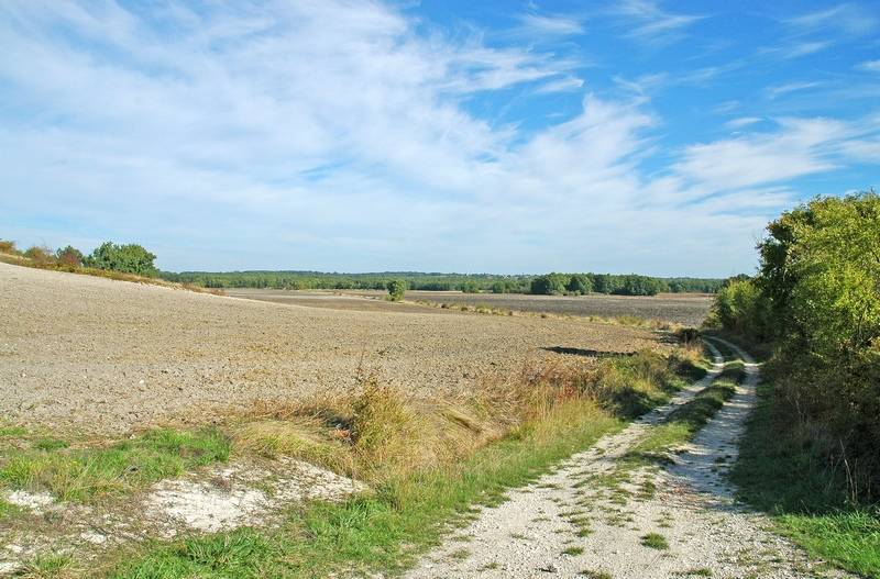 Randonnée : Boucle de Monmadalès