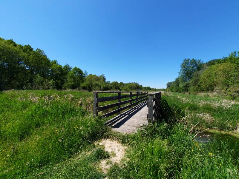 Randonnée : Marais et petits monts