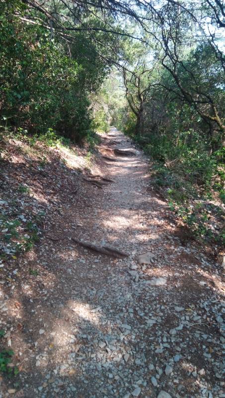 Randonnée : TRAIL CAUSSE ET GORGES DE LA VIS - NAVACELLES