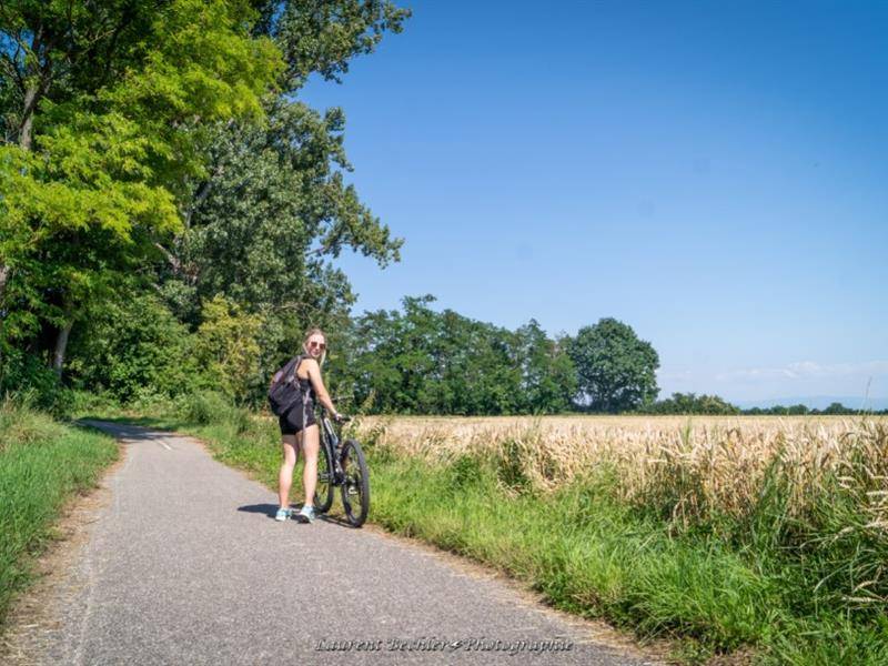 Randonnée : Du Rhône au Rhin, Partie Sud - D'Hirtzfelden à Ottmarsheim