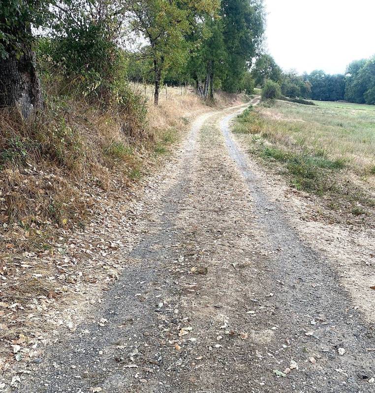 Randonnée : Boucle des Coteaux de L'Auvezère