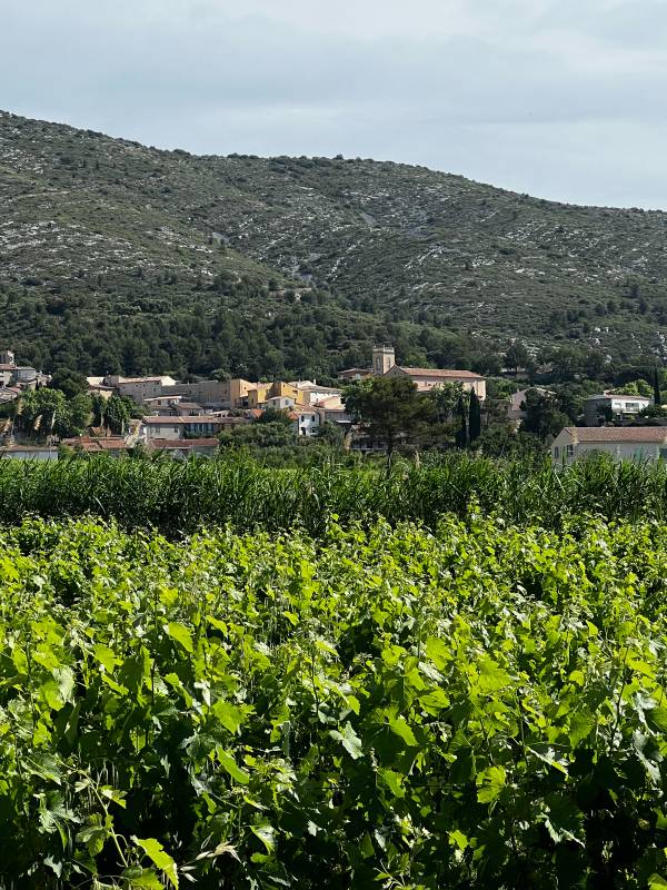 Randonnée : Randonnée au coeur du village
