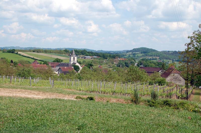 Randonnée : Autour du vignoble