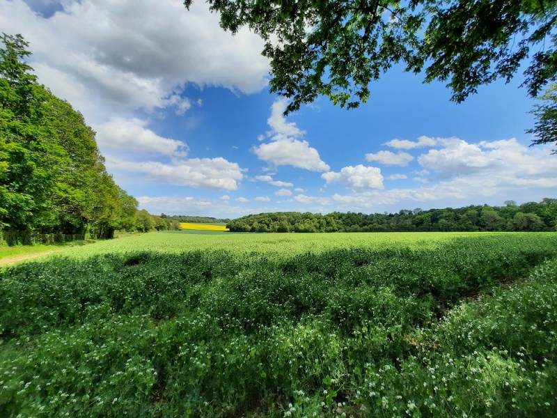 Randonnée : Des jardinets au bois Louvet