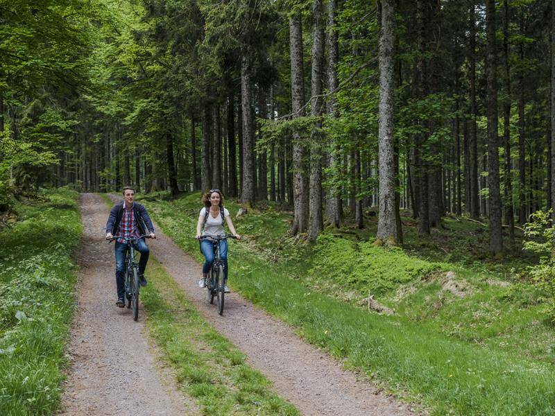 Randonnée : Circuit VTT CDF02 : Du Sommerhof à la Serva par le Champ du Feu