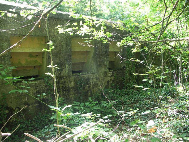 Randonnée : Sentier des casemates