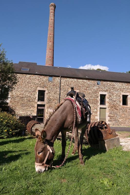 Randonnée : La Route des Chiffonniers - Étape 4 - Villedieu-Les-Poêles - Saint-Pois