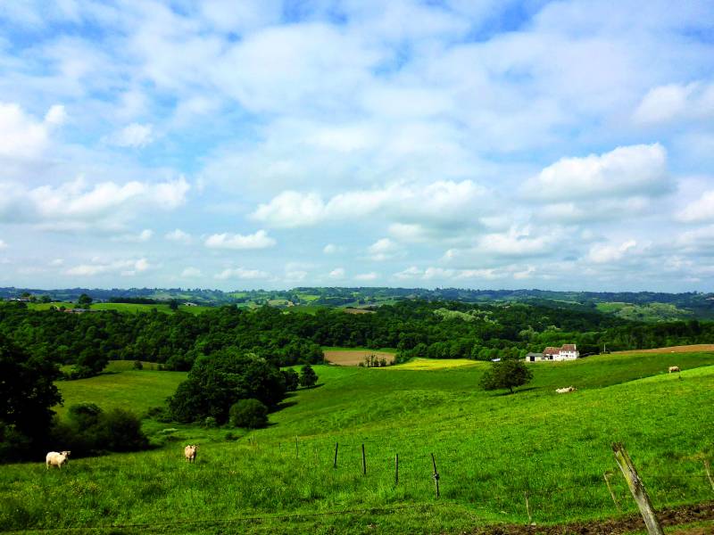 Randonnée : Sur les voies de Vézelay