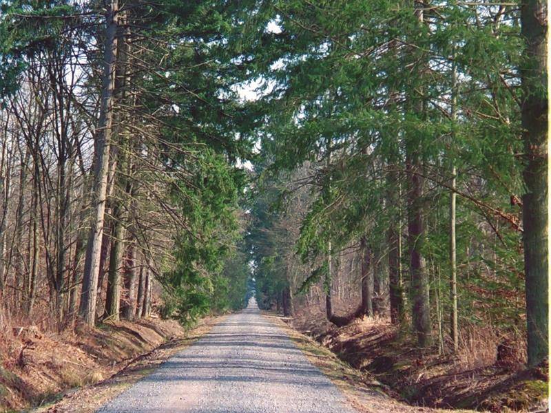 Randonnée : Circuit vélo boucle de mondon