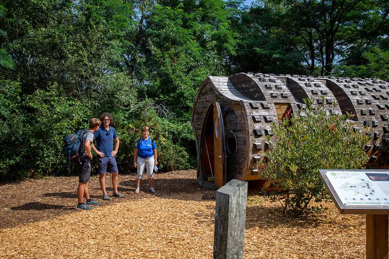 Randonnée : Balade à roulettes : La forêt du Bourgailh - Impraticable