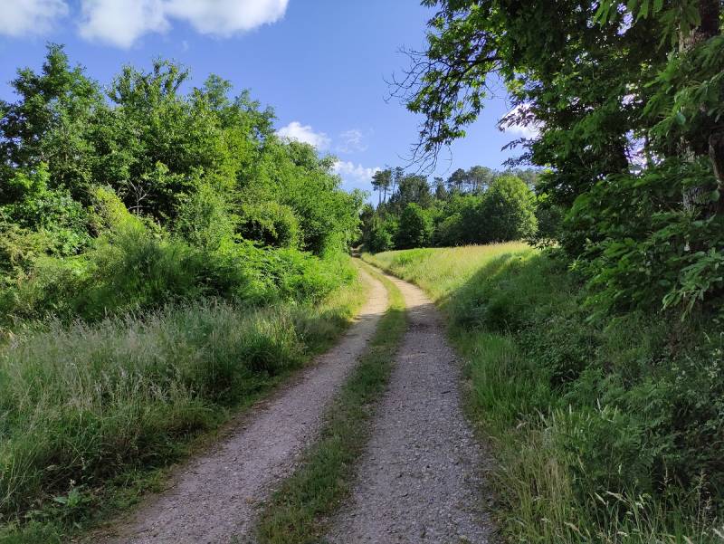 Randonnée : Paysage en évolution Saint Séverin d'Estissac