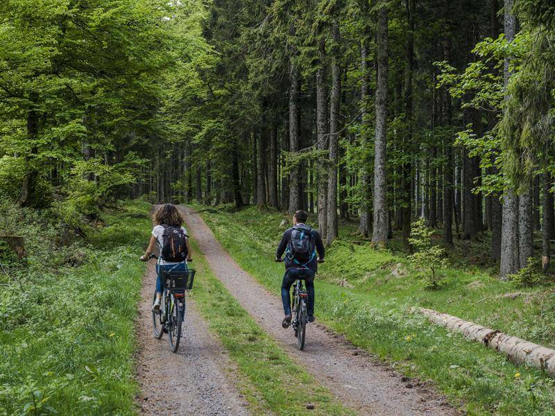 Randonnée : Circuit VTT C04 : Des Quelles à Salm